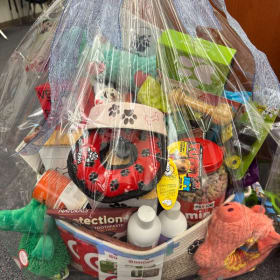 Littlejohn's Positively Perfect Doggy Basket item