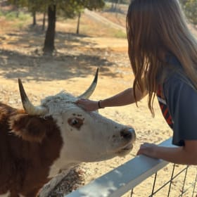 Our Texas Ranch One-Night Stay + Animal Feeding item
