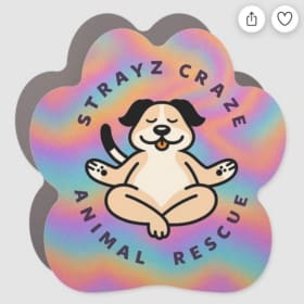 Holographic Paw Magnet item