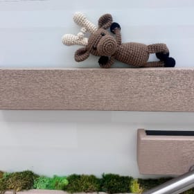 Moose on the Loose! item