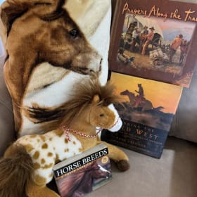 15 - Horse Throw, Book & Gift Set item