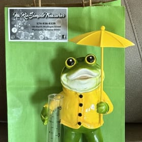 25 - Frog Rain Catcher item