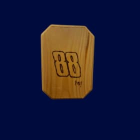 Dale Earnhardt, Jr ** item