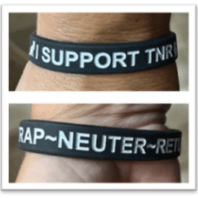 I Support TNR Silicone Bracelet - Delivered item