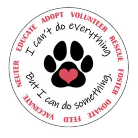 3" Can Do Sticker - Mailed item