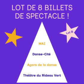 Lot B incluant 8 billets de spectacle item