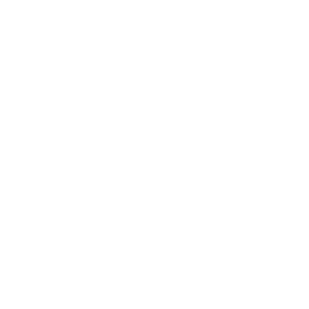 Additional Entries (FORM) item