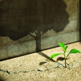 22. One share of Boost a Cause item