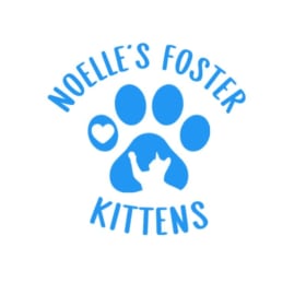 NFK car Decal; block print with heart item