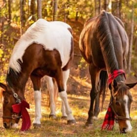 Tuesday December 23rd Registration item