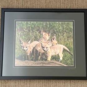 5: San Joaquin Kit Fox Special item