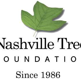 6. Bald Cypress item