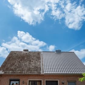 Professional Roof Clean item