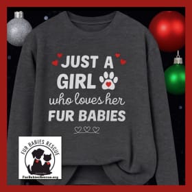 Medium Gray T-shirt Long SL: Just a Girl item