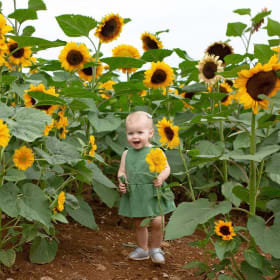 2026 Photo Shoot Package item