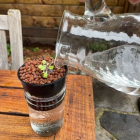 Hydroponics Kit item