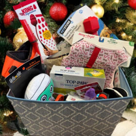Large Dog Gift Basket item