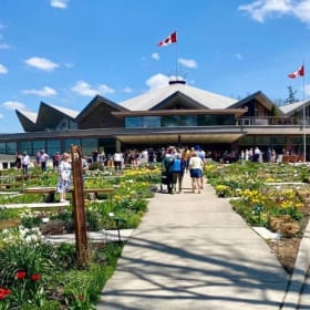 Curtain Up for Four item