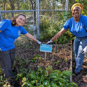 Create a Pollinator Garden item