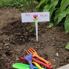 Create a Pollinator Garden item