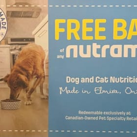 Bag of Dog Food item