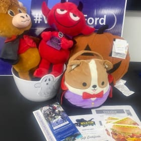 Kids Fall Fun To Dos & What Nots item