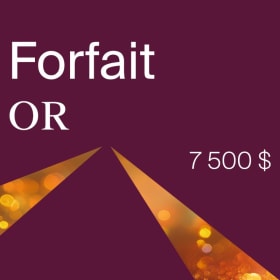 Forfait OR | 3 forfaits disponible! item