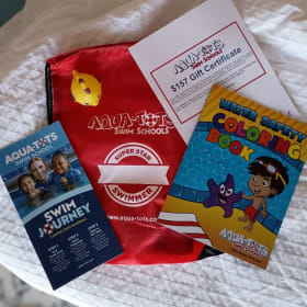 Aqua-Tots Swim Lessons item