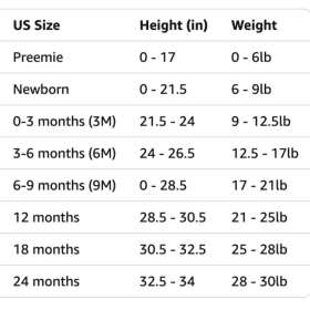 Organic Baby Bodysuit item