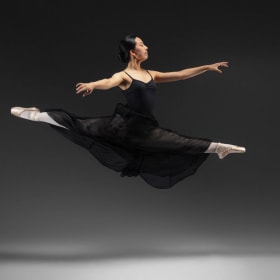 Adult Advanced Ballet + Pointe item