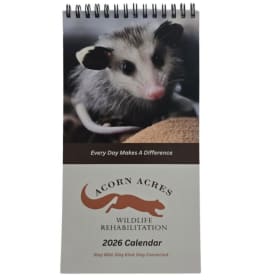 2026 Calendar (pick up) item