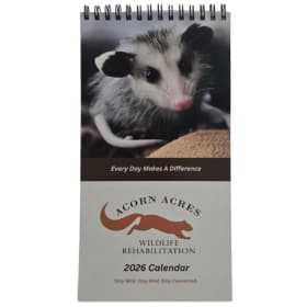 2026 Calendar (shipping) item