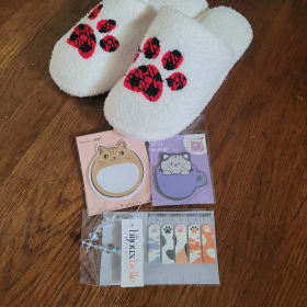 Cat Slippers Gift Pack item