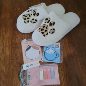 Cat Slippers Gift Pack item