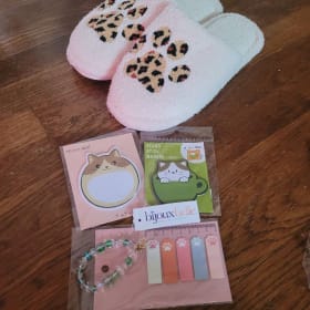 Cat Slippers Gift Pack item