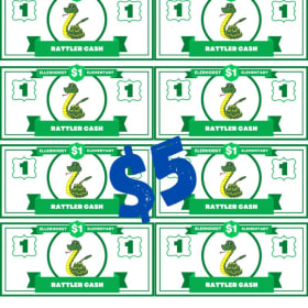 Shopping Cash $5 item