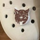 Wildcat Croc Charm item