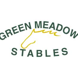 One Horse Riding Lesson - Green Meadow Stables item