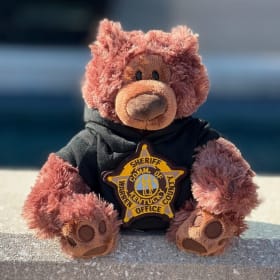 Donate 2 Ride Along Bears item