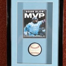 Vladimir Guerrero Jr Signed Baseball item