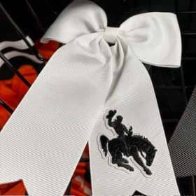 Small Clip in White Bow item