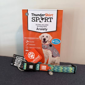 Dog Thunder Shirt & Collar item
