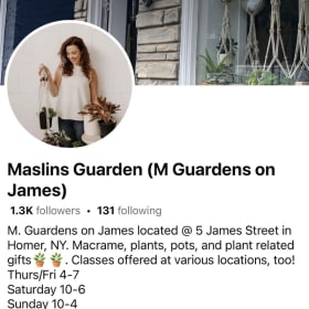 Handmade Macrame with a Plant item