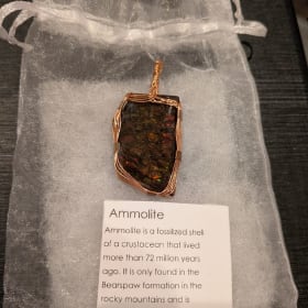 31 - Ammolite pendant - valued at $50 item