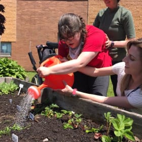 Gardening Supplies item