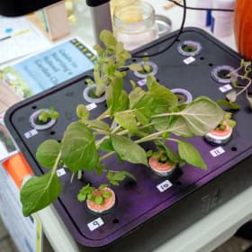 Small Hydroponics Kit item