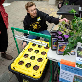 Hydroponics Kit item