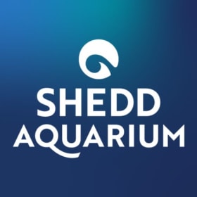 🐠 Shedd Aquarium item