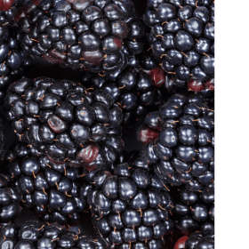 Blackberry (half pint) item