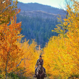 11 - Two-Night All-Inclusive Stay at Sundance Guest Ranch item